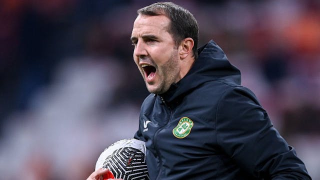 John O'Shea appointed interim head coach of Republic of Ireland