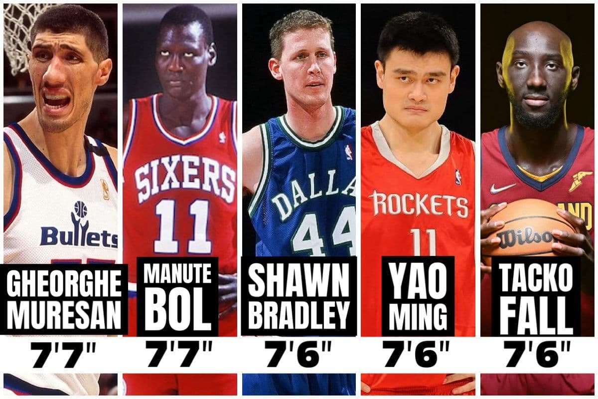 The Tallest NBA Players