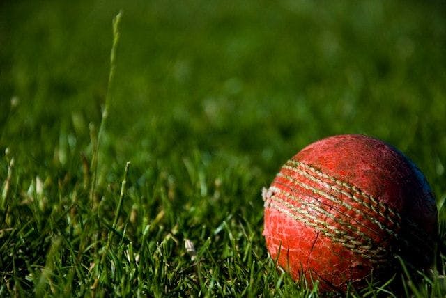 A cricket ball on a pitch 
