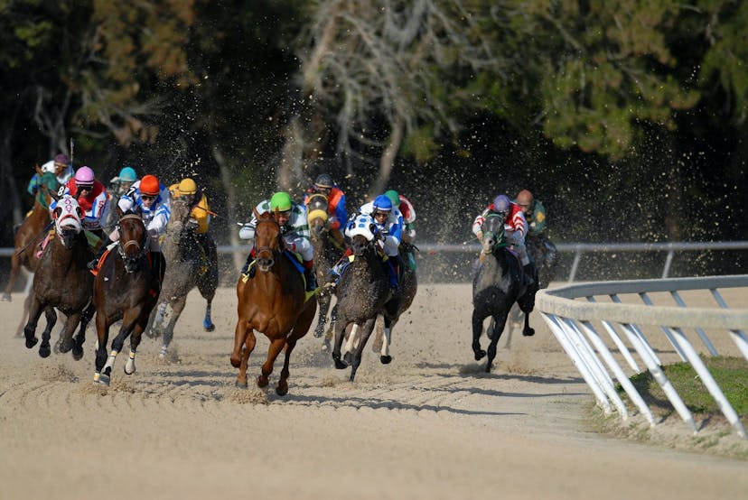 A horse race 