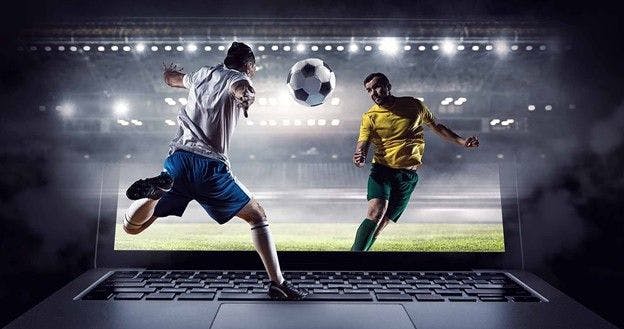 must have features in sports betting software
