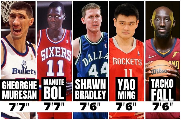 Tallest NBA Player In 2024 - Ranked By Height