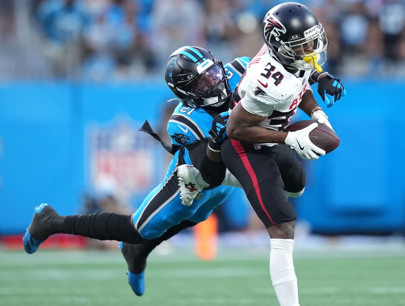 Atlanta Falcons v Carolina Panthers