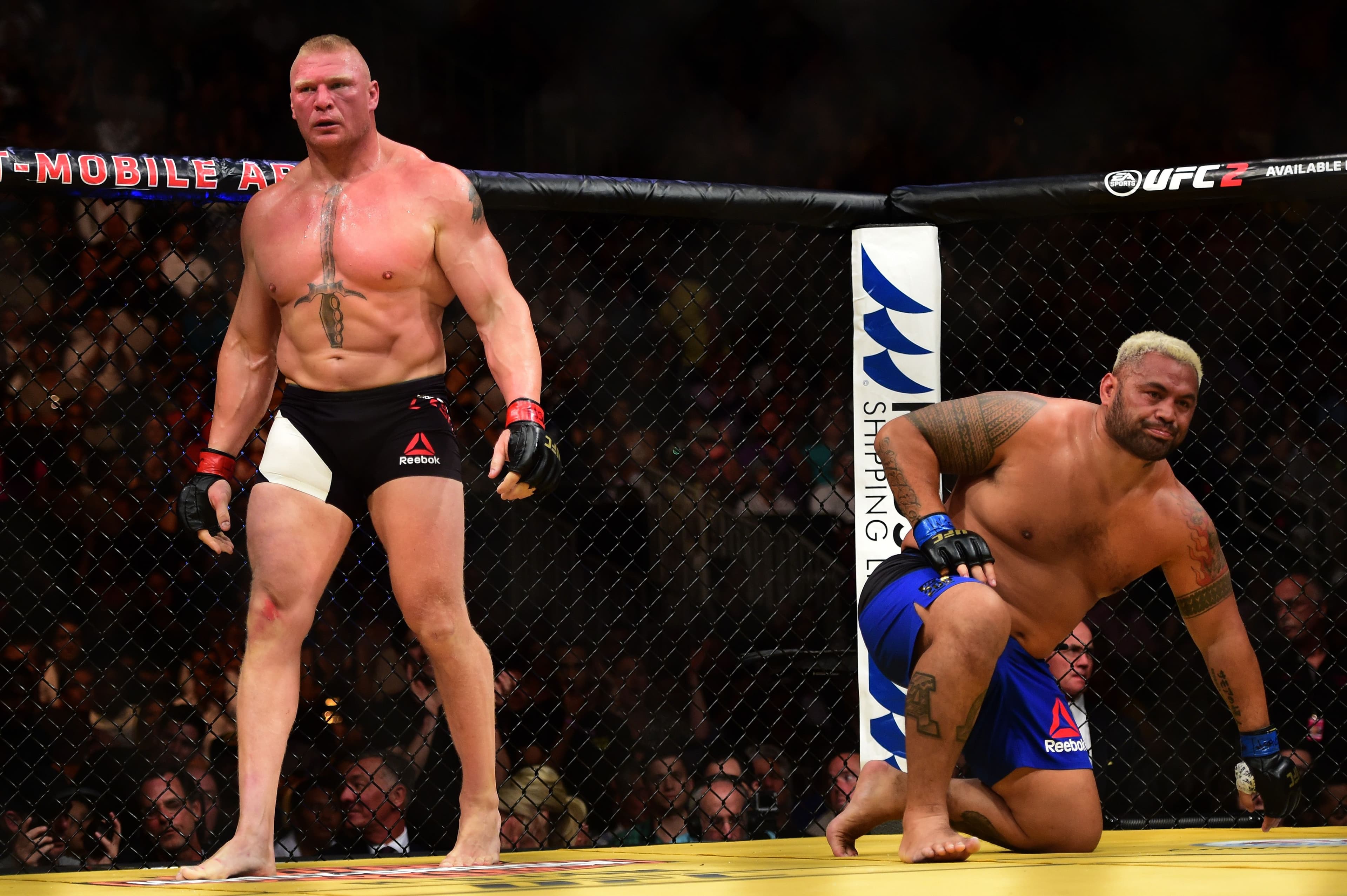 Brock Lesnar and Mark Hunt