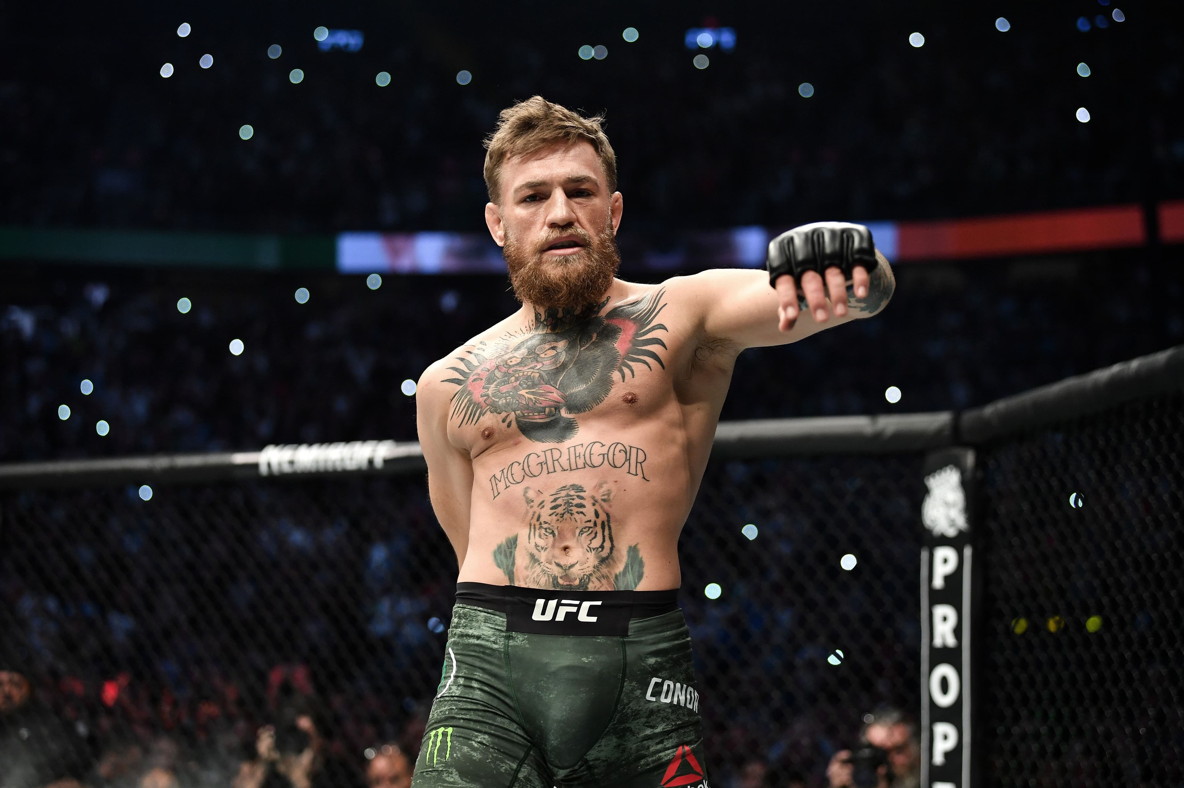 Image for Conor McGregor