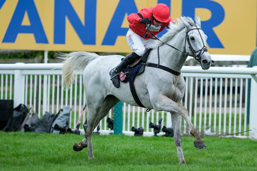 Seasonal Debut Not a Concern for Dan Skelton as Grey Dawning Primed for Betfair Chase