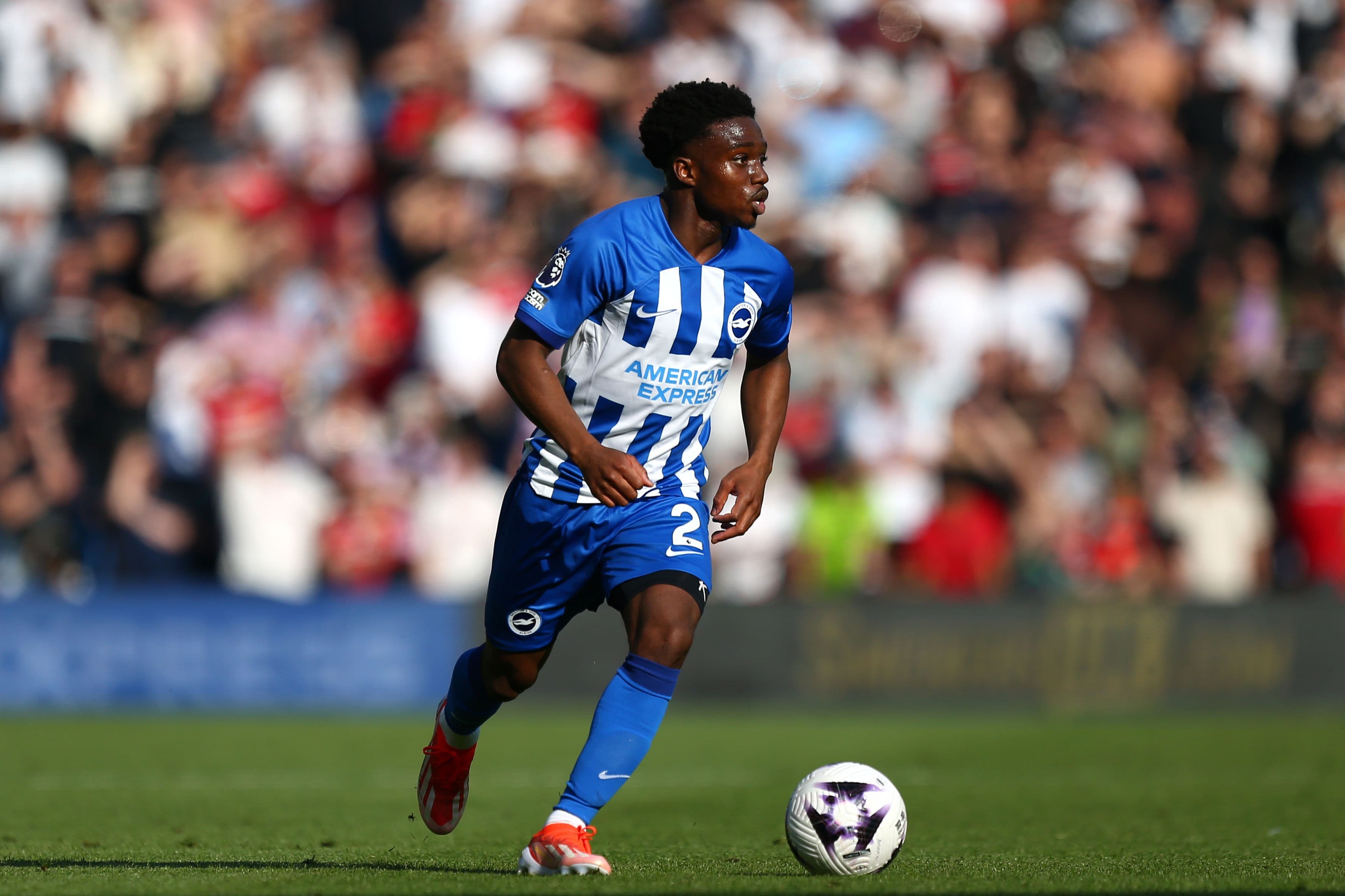 Tariq Lamptey of Brighton