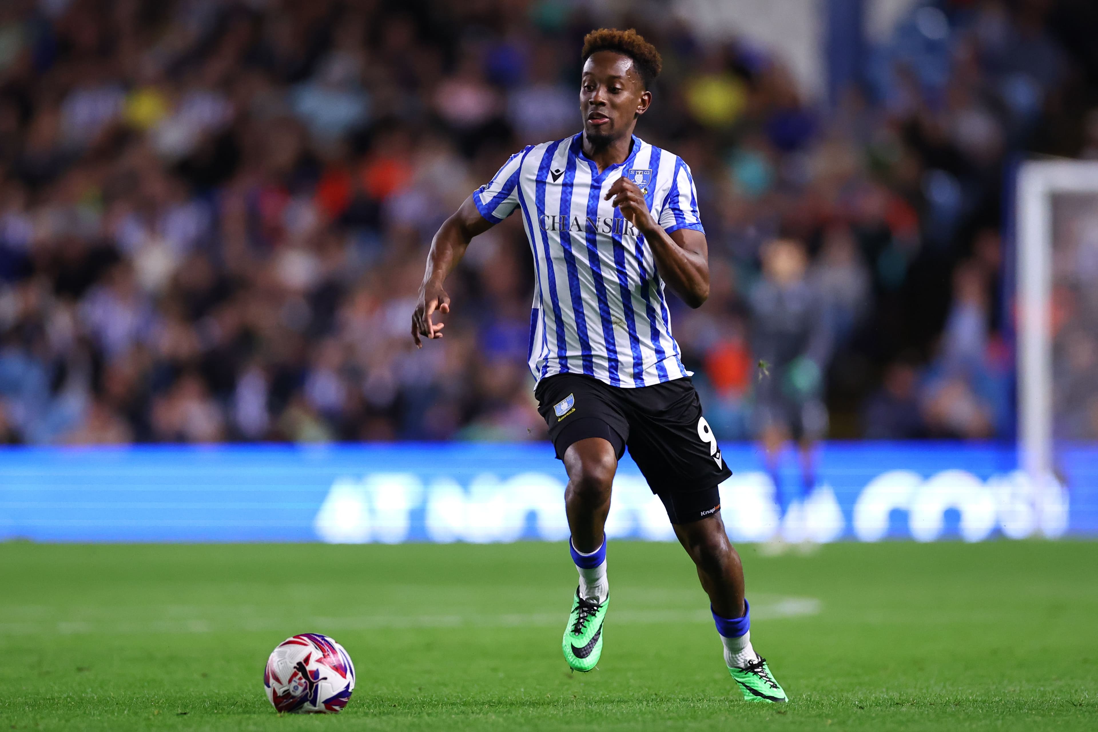 Jamal Lowe of Sheffield Wednesday 