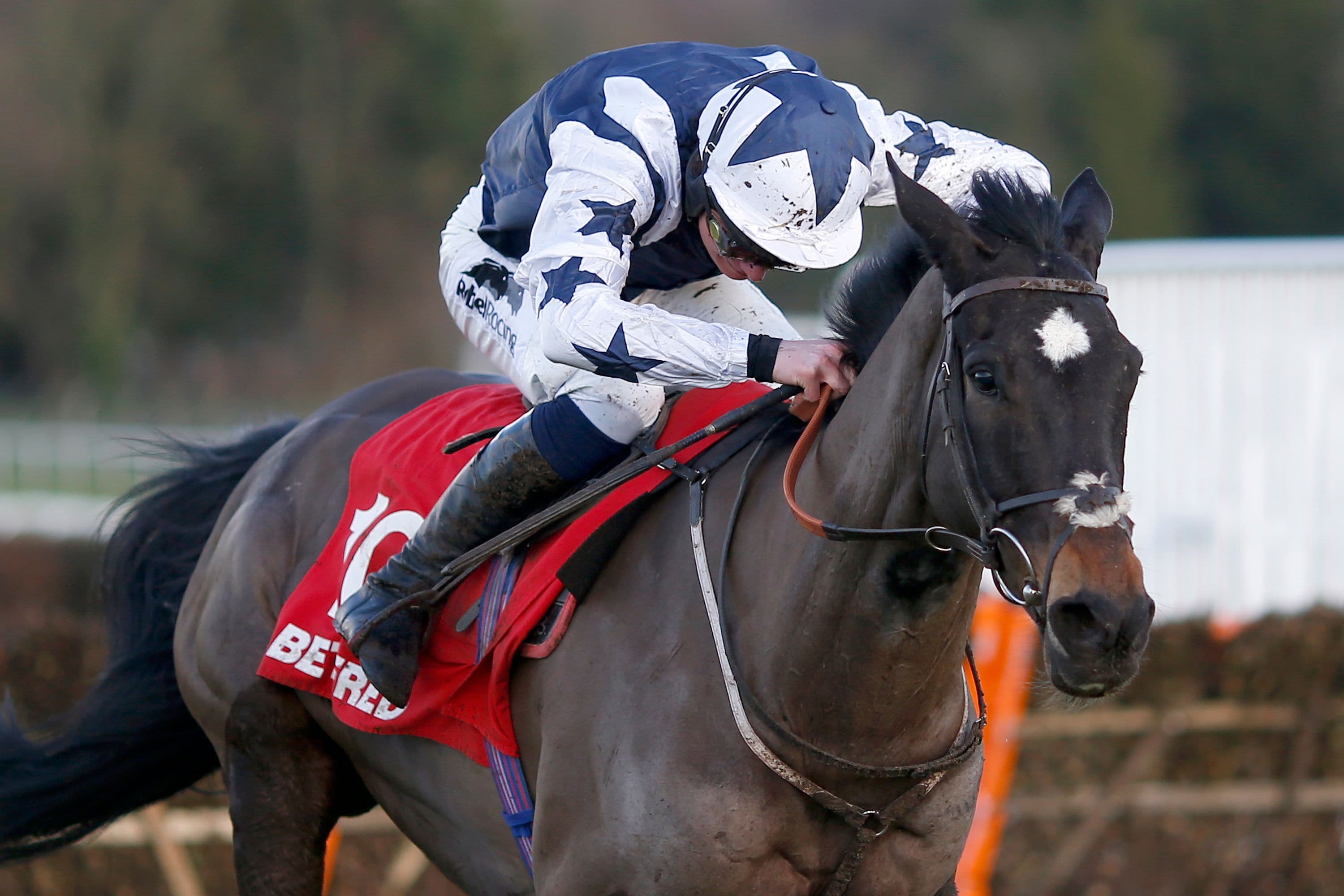 William Twiston-Davies riding Lord Of The Island