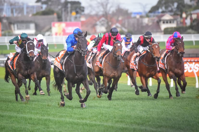 Neds Trifecta Rescue Handicap