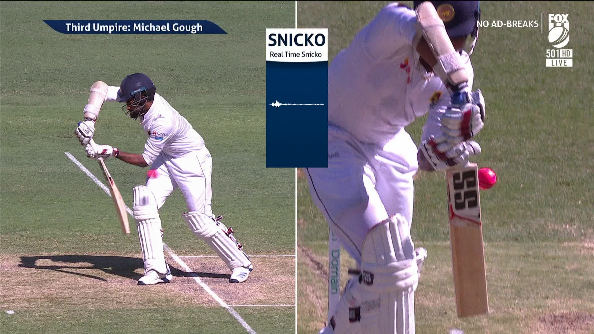 Snicko Meter in Cricket.jpeg