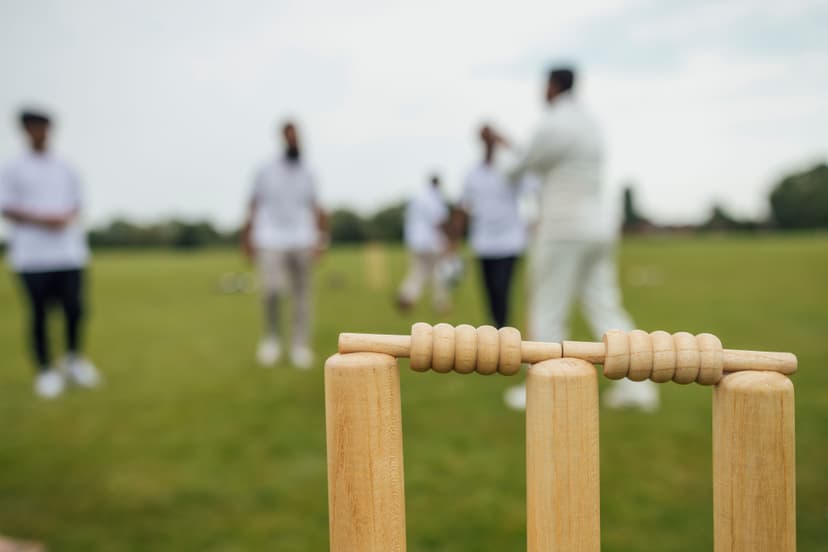 Sunny Cricket Moments