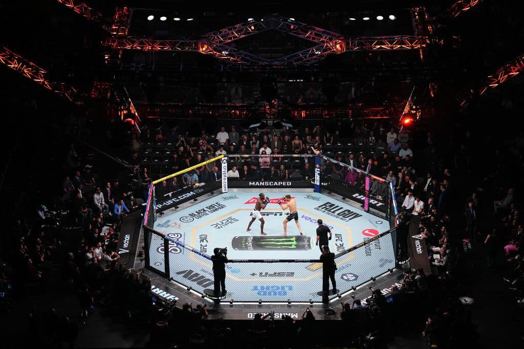 A fight in the UFC Octagon at UFC 300 on T-Mobile Arena 