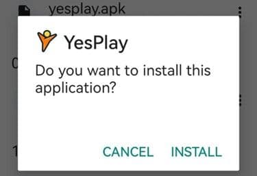 YesPlay App confirmation 