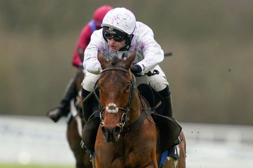 Ascot Races