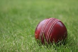 Cricket ball on grass