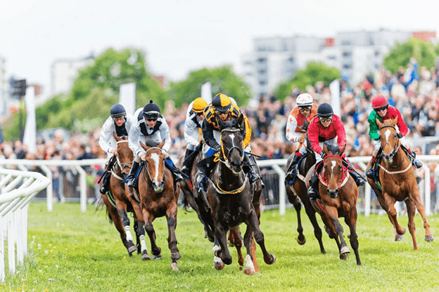 Biggest Horse racing