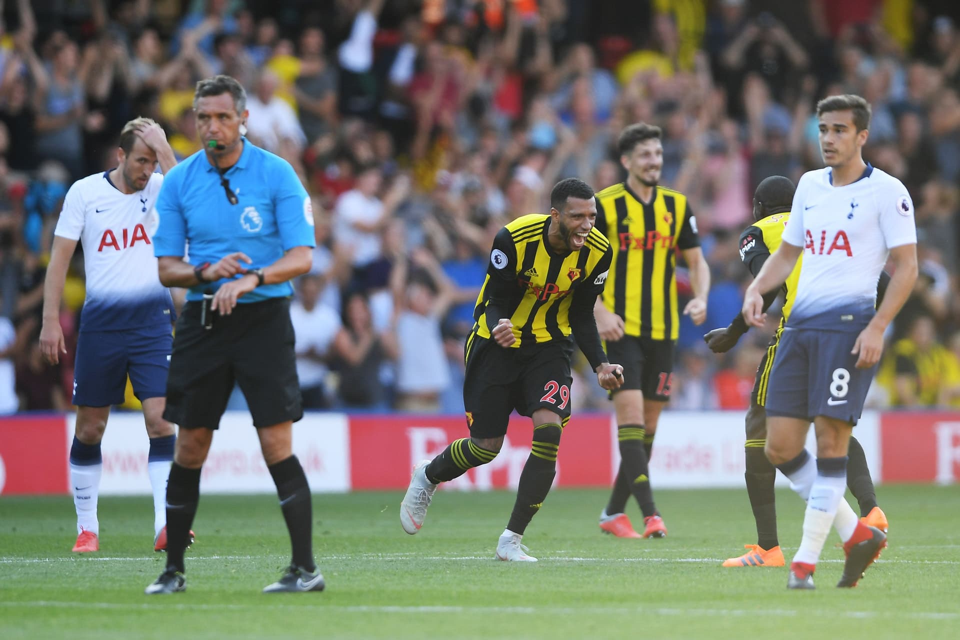 Etienne Capoue of Watford celebrates as referee Andre Marriner blows the full time whistle during the Premier League match between Watford FC and Tottenham Hotspur at Vicarage Road