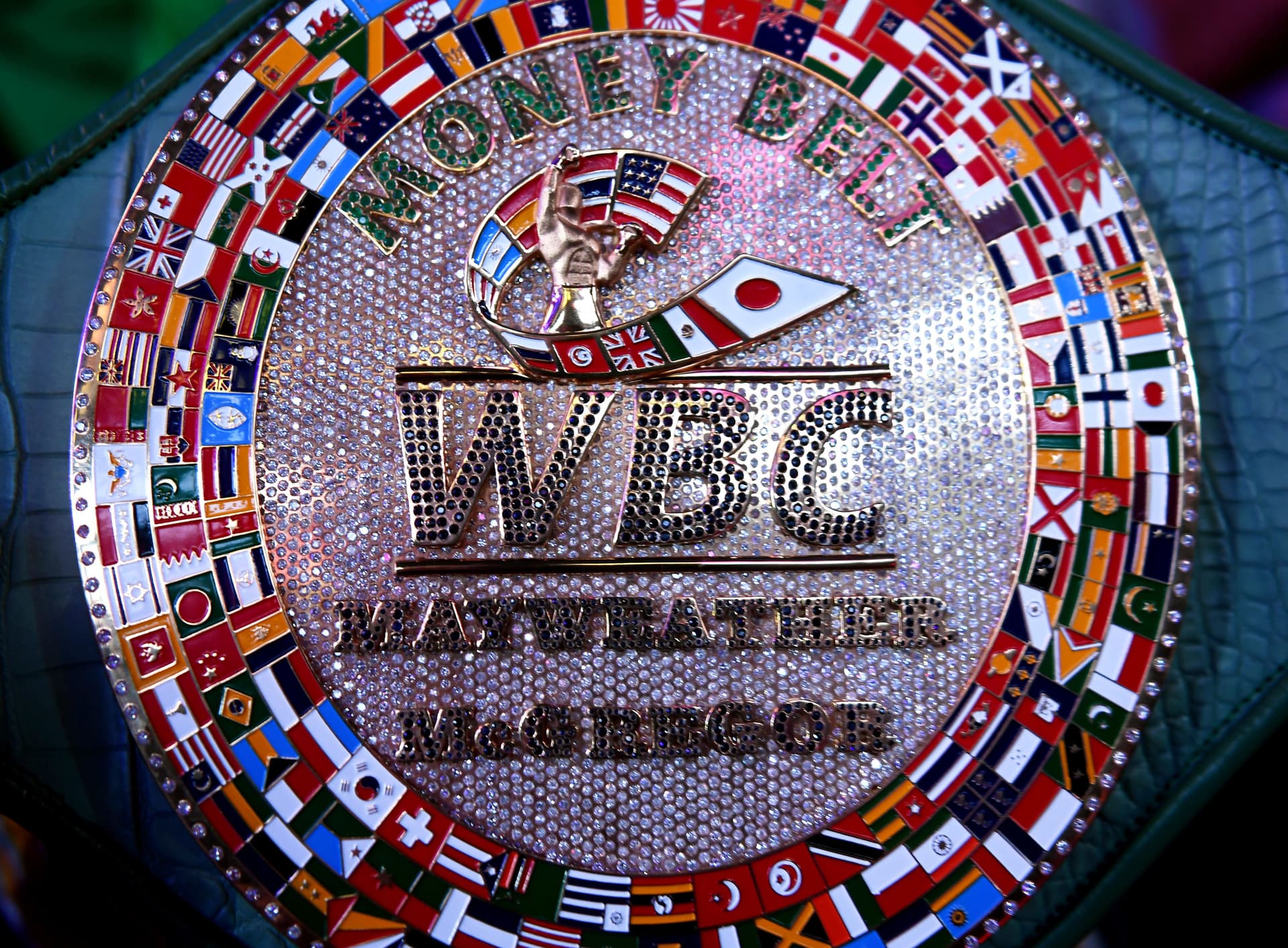 A detailed view of The Money Belt