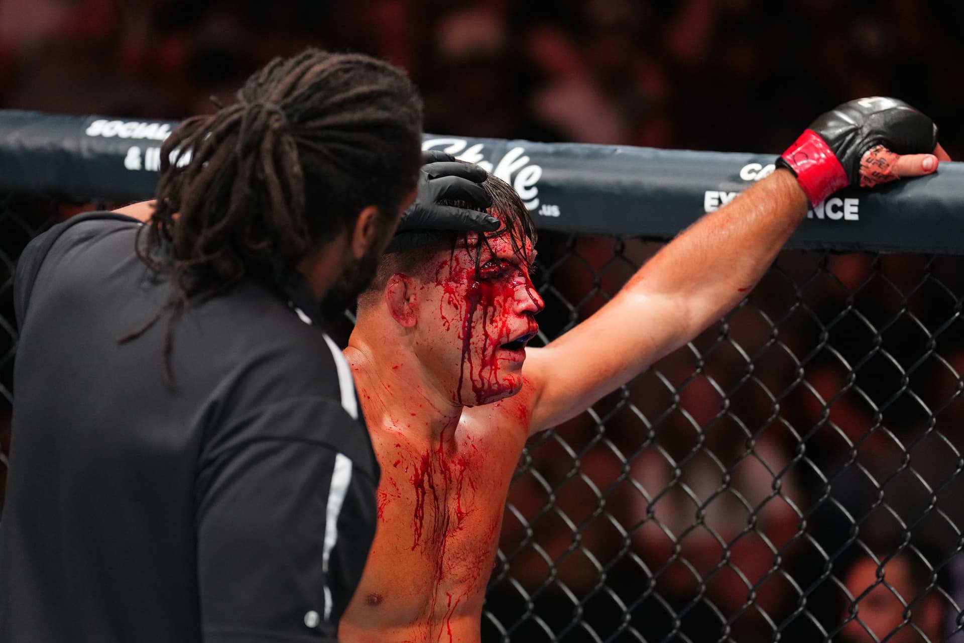 UFC Fight Night: Dober v Silva