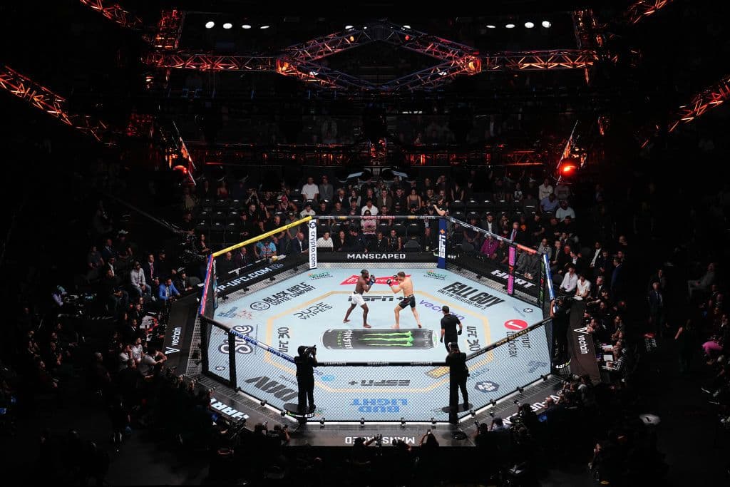 A fight in the UFC Octagon at UFC 300 on T-Mobile Arena